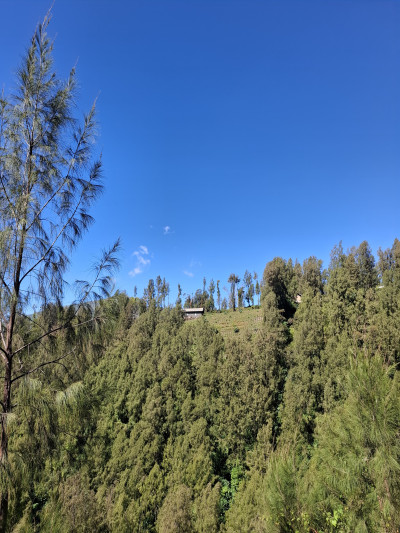 N1501 - Aldyimawan23