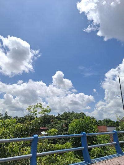 N1521 - Aldyimawan23