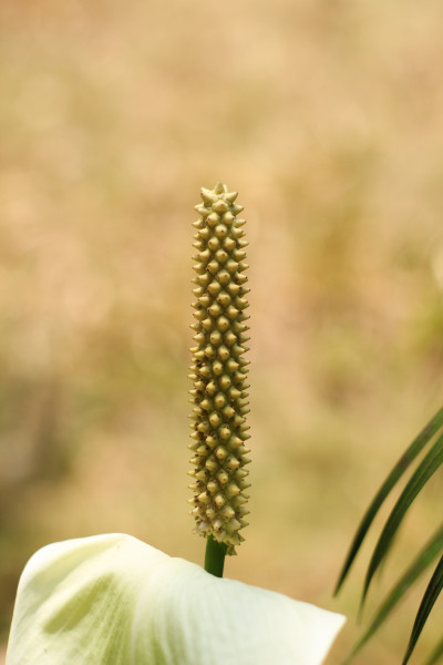 N1598 - Aldyimawan23