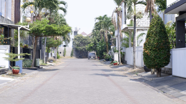 N501 - Nandaalfiah