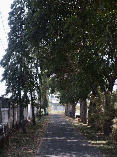 N804 - Zahwa