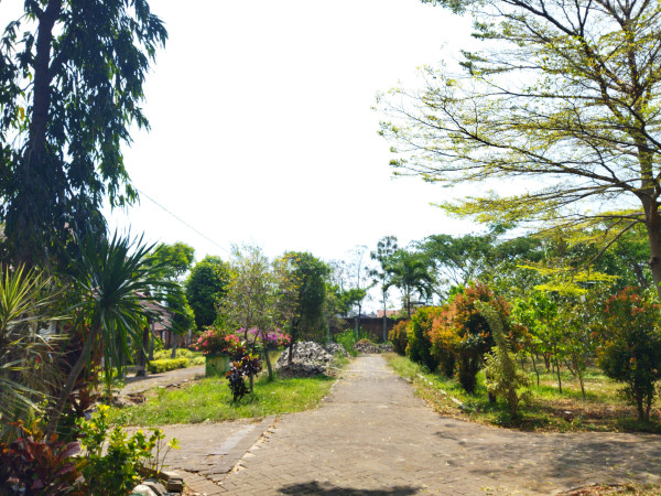 N808 - Divanujulagmailcom
