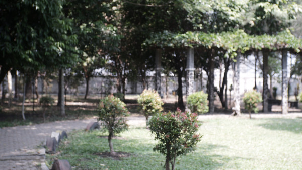 N833 - Alimatusadiyah