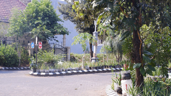 N854 - Nandaalfiah